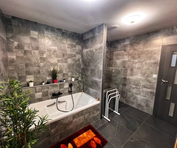 salle-bain-sejour-moselle (1)