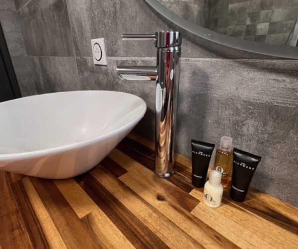 salle-bain-sejour-moselle (3)